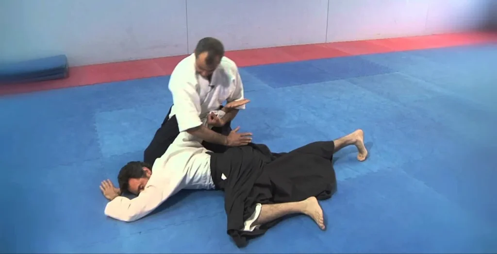 tipos de agarres de aikido