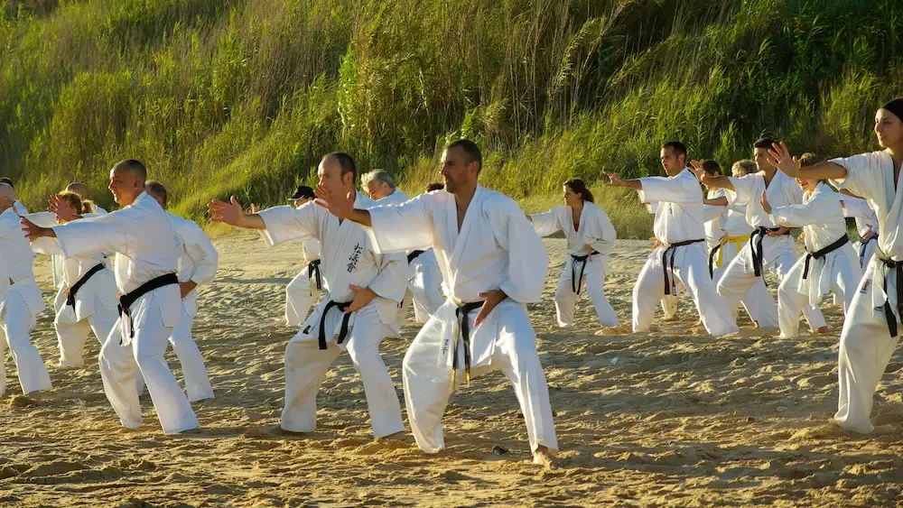 personas practicando karate