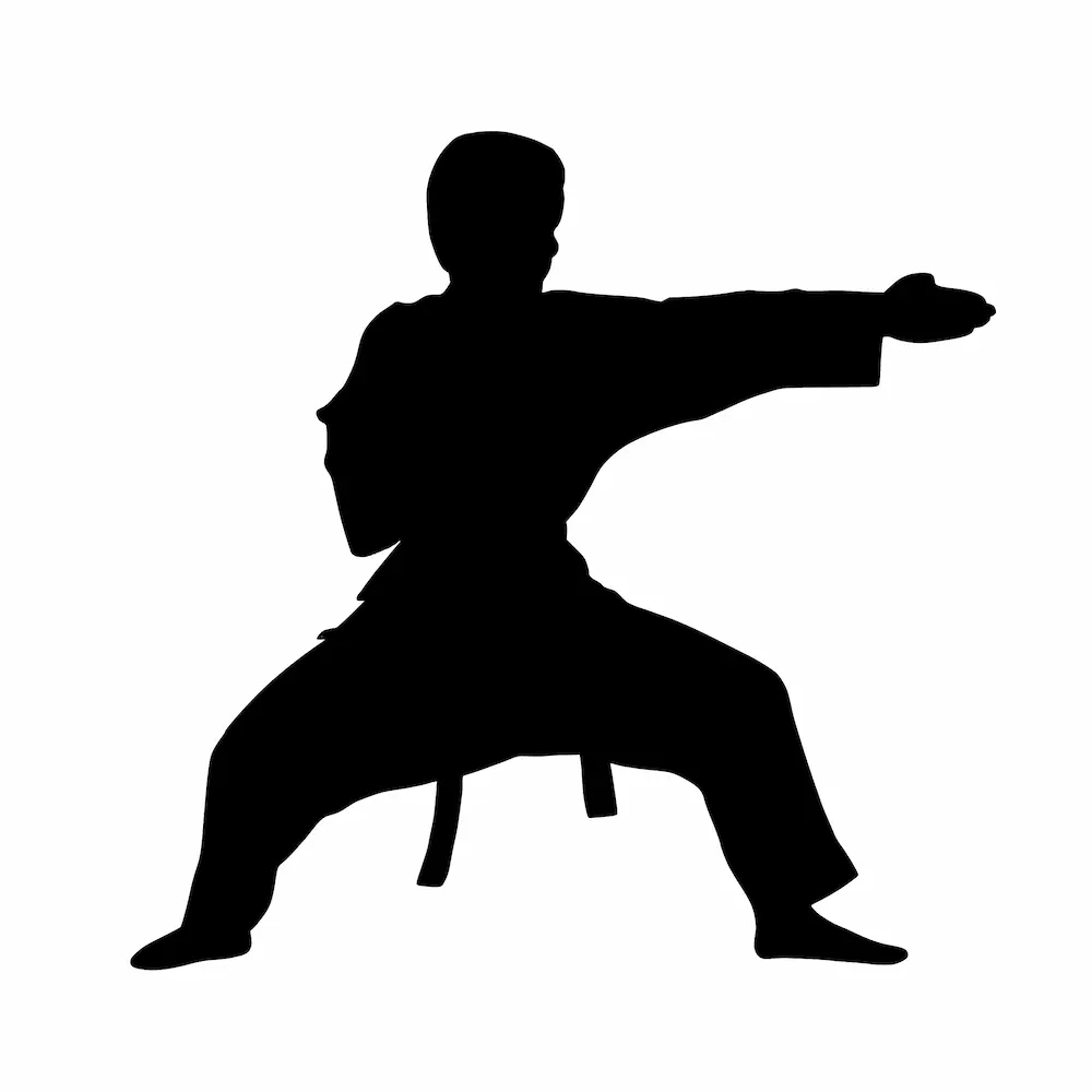 posición de karate