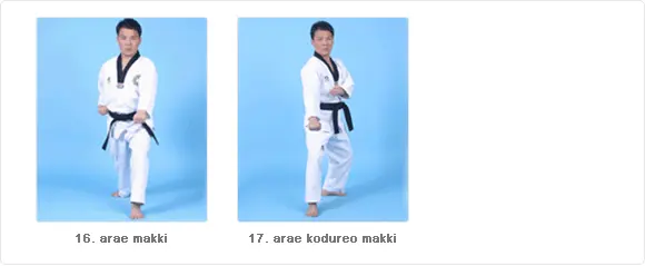 Arae Makki